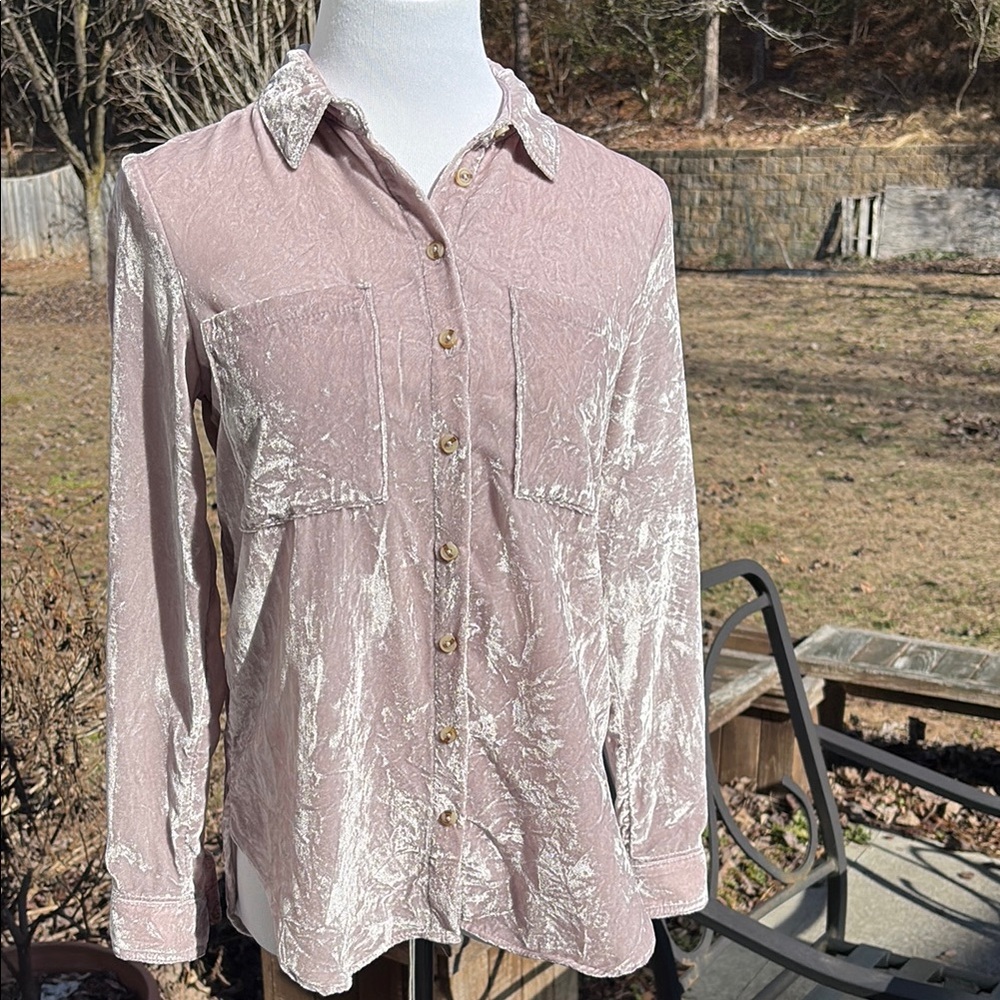 Pilco (Anthropologie) Crush velvet button down blouse
